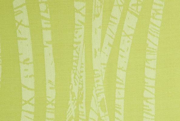 Birch Grass 008