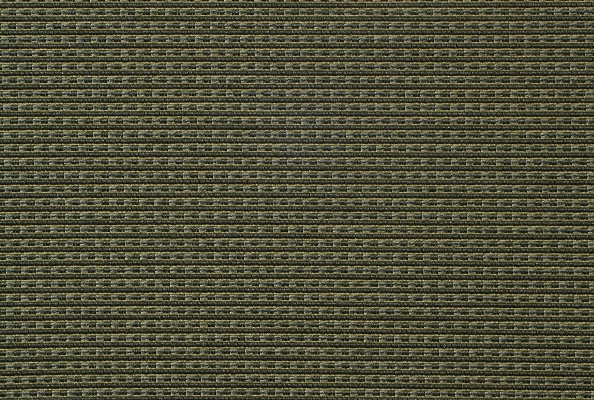 26446 2 Olive